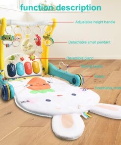 Joc multifunctional 2 in 1 Antepremergator 0 luni 06.jpg