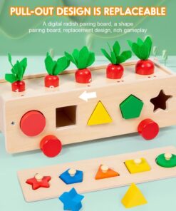 Joc de tip Montessori pentru prescolari asociere si sortare 3 ani 07.jpg