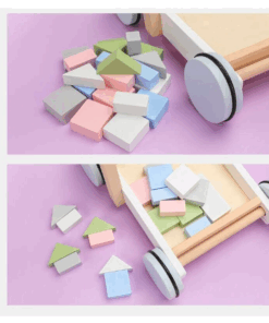 Antepremergator din lemn cu 20 de cuburi 12 luni 01.png