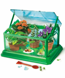 Alternative view of Joc creativ Stiinta si joaca, ”Prima Sera Biologica” - AS, 7 ani+