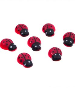 Set Creatie Paste, Set 50 Buburuze 1.5cm