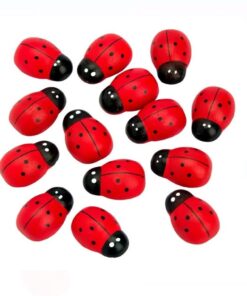 Set Creatie, Set 30 Buburuze 2.5cm