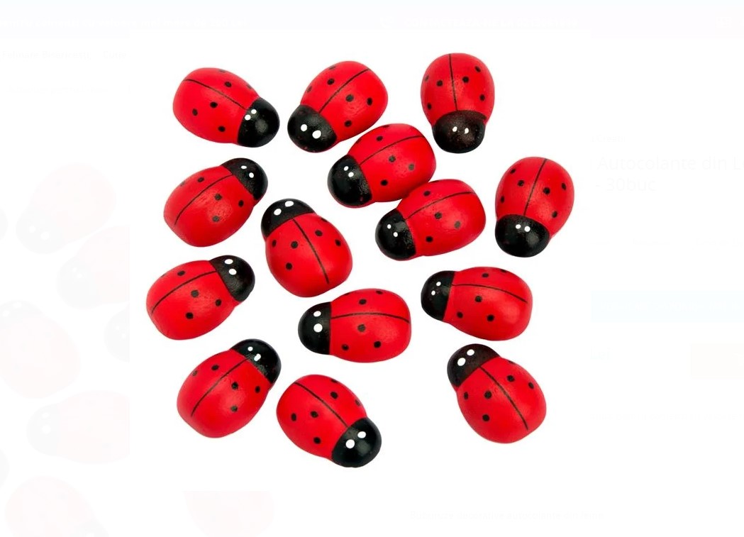 Set Creatie, Set 30 Buburuze 2.5cm