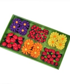 Set Creatie, Set 70 Buburuze si Flori