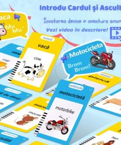 Cititor audio de carduri in limba romana si engleza, cu 448 de cuvinte, Roz, 3 ani + 01