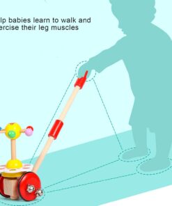 Jucarie de impins ajustabila, Curcubeu, 18 luni+