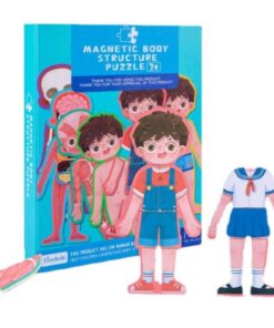 Puzzle magnetic, Anatomia Corpului Omenesc, Baieti, 3 ani