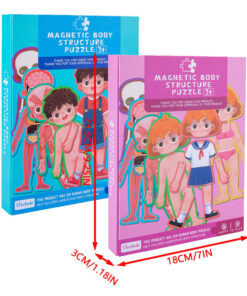 Alternative view of Puzzle magnetic, Anatomia Corpului Omenesc, Fetita, 3 ani