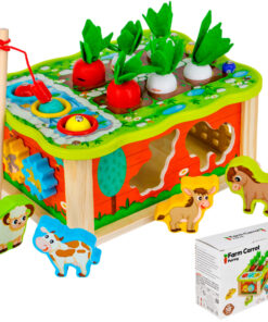 Joc multifunctional, sortator de forme, joc magnetic, 18 LUNI+