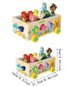 Alternative view of Joc multifunctional, sortator de forme, joc magnetic, 3 ANI