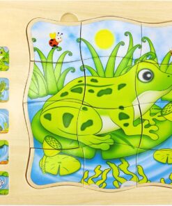 Puzzle Stratificat, Ciclul de viata, Broasca