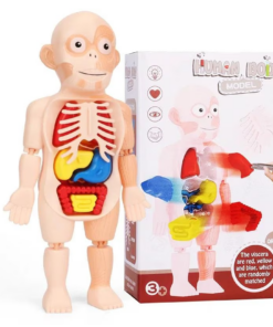 Alternative view of Joc educativ, Anatomia corpului uman, Puzzle 3D, 3 ani+